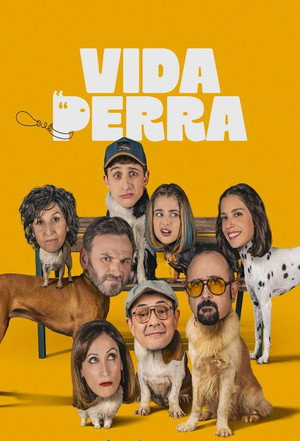1 - Amores perros
